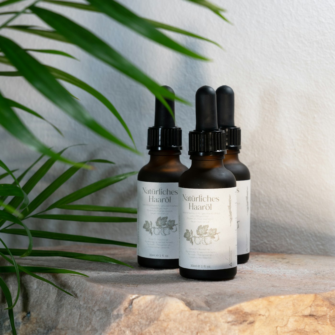 Botanical oils and ingredient bottles arranged beside a green plant